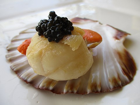 Scallops